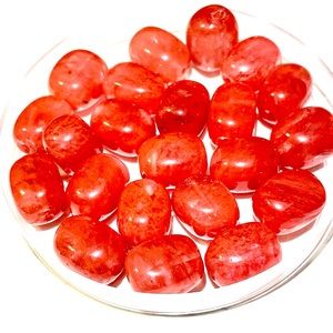 5 Watermelon Tourmaline Beads